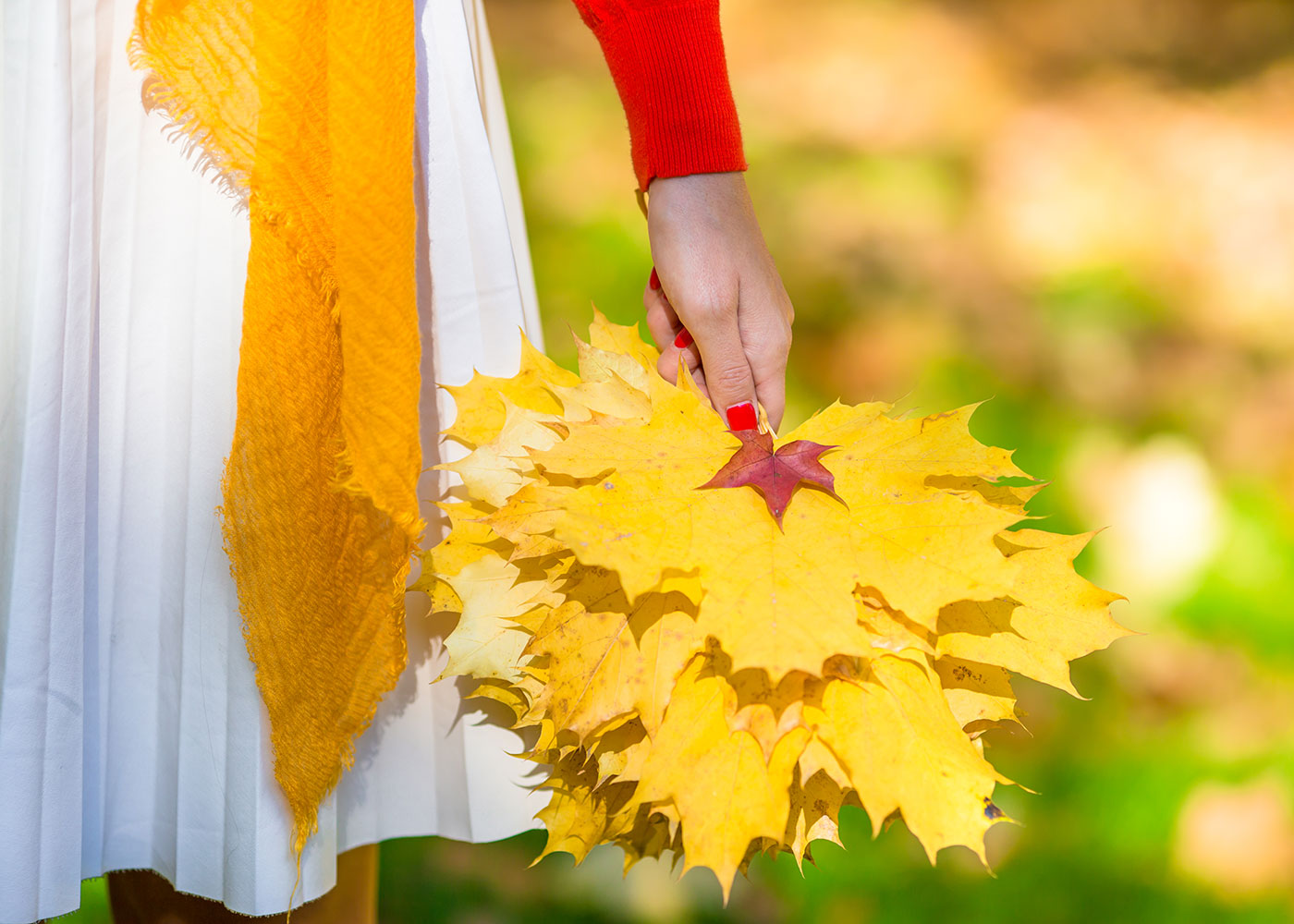 Ahornblätter als Symbolbild für Herbstferien